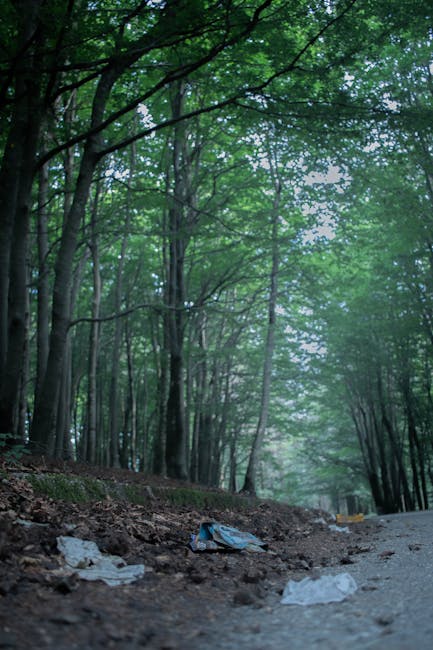 A person wearing a grey sleeve with a blue watch and a white glove is holding a large white sack filled with garden debris, including twigs, small branches, dry leaves, and some gravel, situated outdo